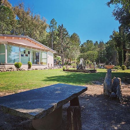 Memento Bed & Breakfast Ossi Bagian luar foto