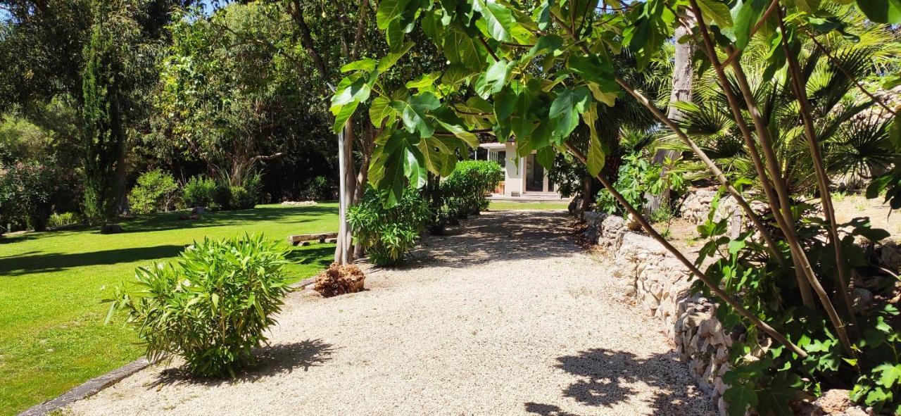 Memento Bed & Breakfast Ossi Bagian luar foto